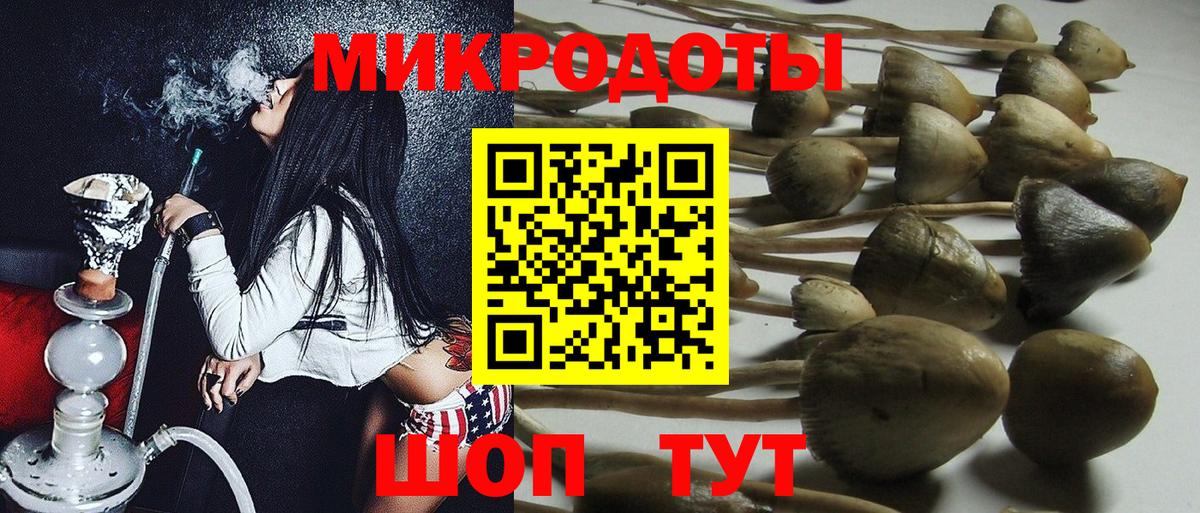 Псилоцибиновые грибы прущие грибы Тосно