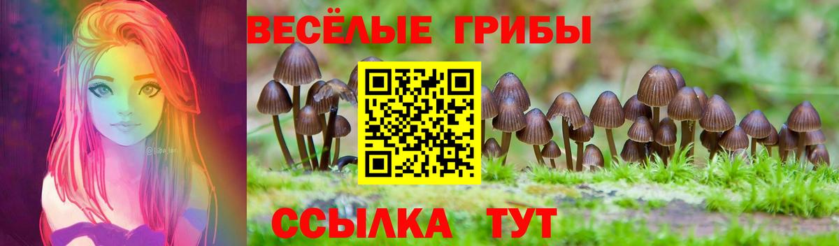 Тосно  Галлюциногенные грибы Cubensis  Вход с VPN 